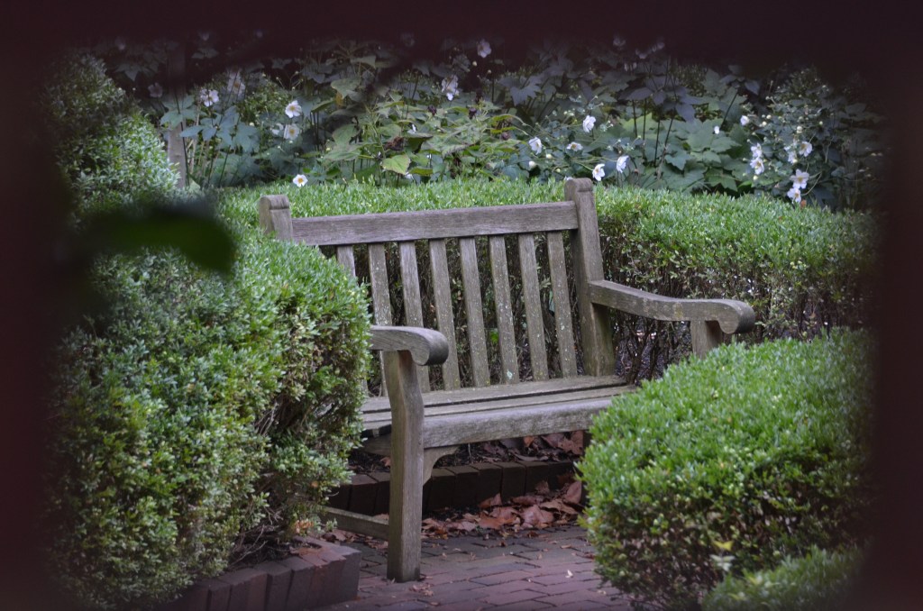 A wooden bench in the garden at the Mary Todd Lincoln House