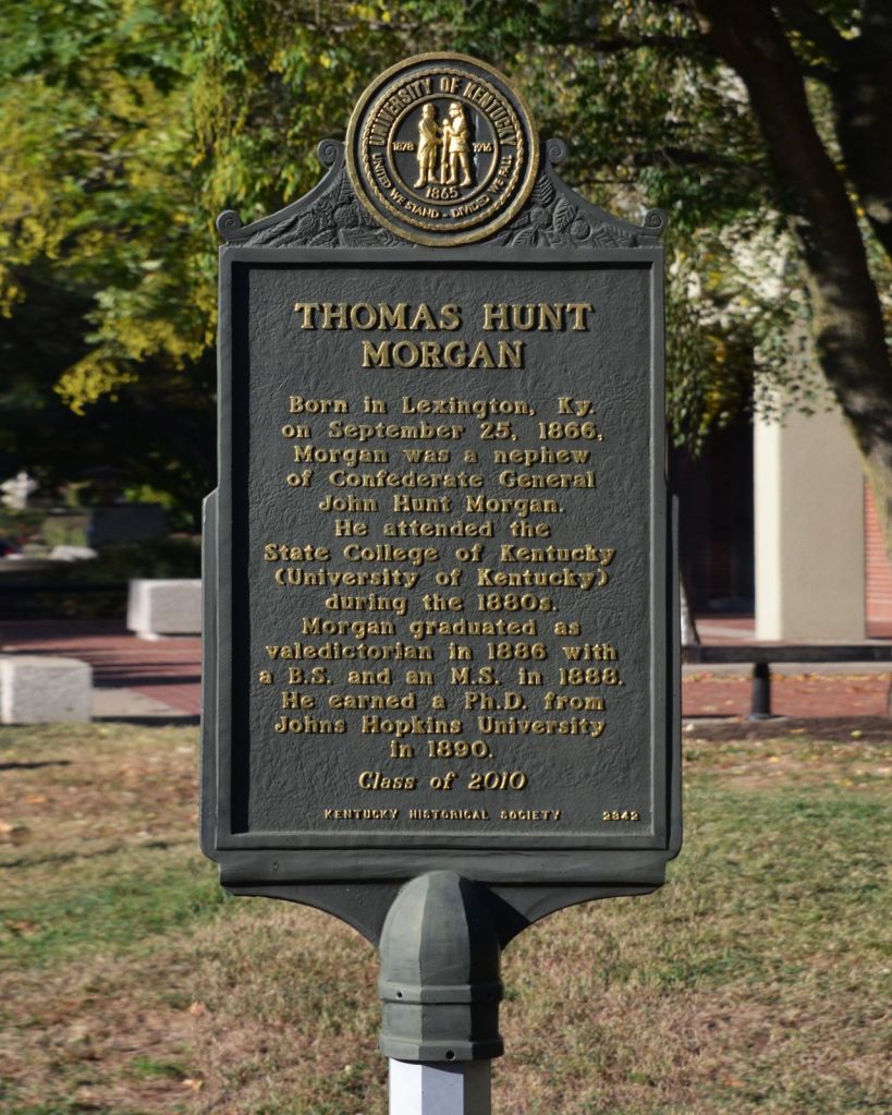 Front of Kentucky Historical Society Marker No. 2342, a dark green cast-metal plaque topped by the University of Kentucky seal, on a campus lawn.