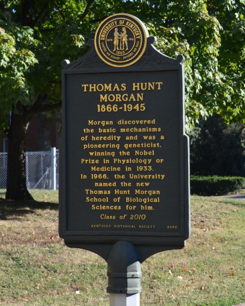 Reverse of Marker No. 2342, headed “Thomas Hunt Morgan, 1866–1945,” with trees and a brick building behind it.